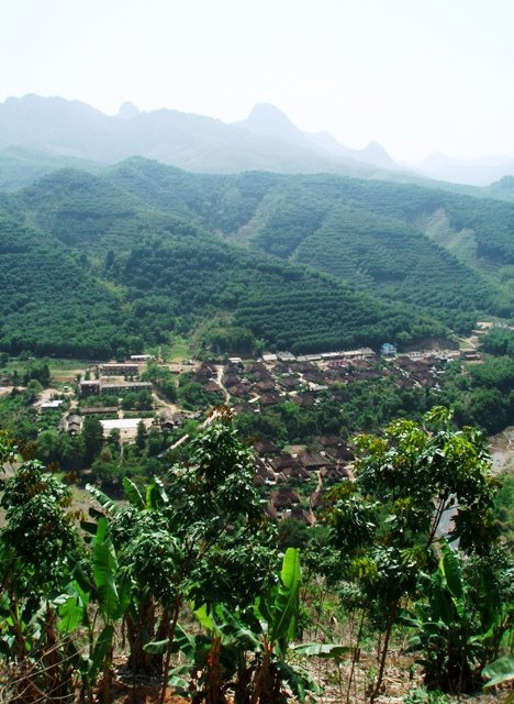 [P4241460.JPG]
