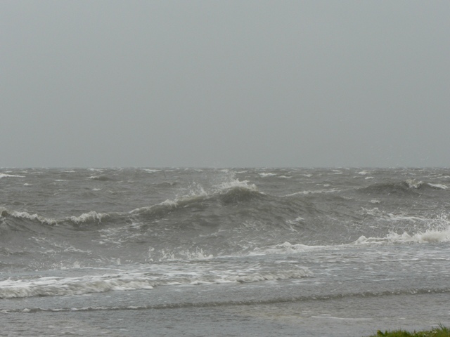 [P1100399.JPG]