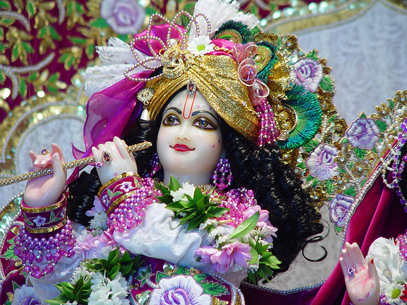 Spread a Cheer Lord Krishna at the Vrindavan Temple