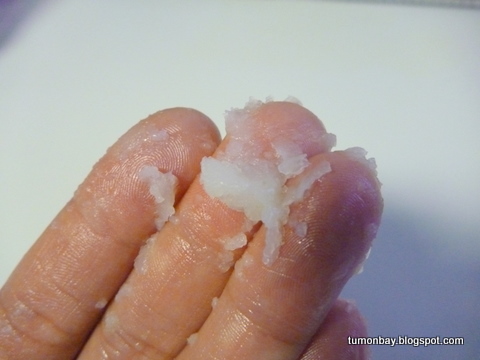 グアム在住日記 グアムで家庭菜園 初パパイヤを食べてみました