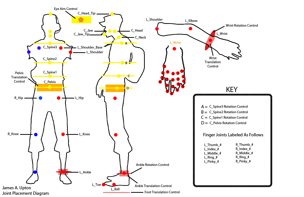 The Art of Upton Filled Out Joint Placement Diagram