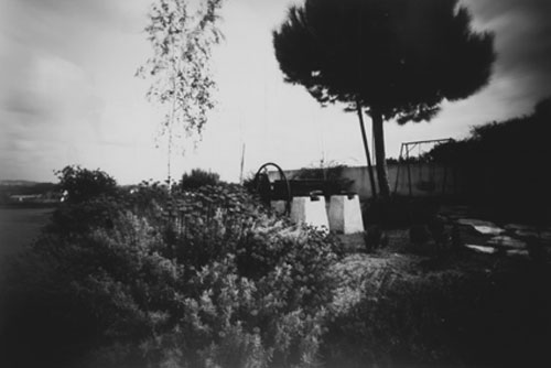 [MYGARDEN1A2BRNET.jpg]