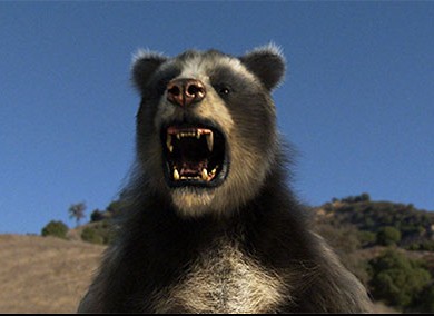 short faced bear short faced bear