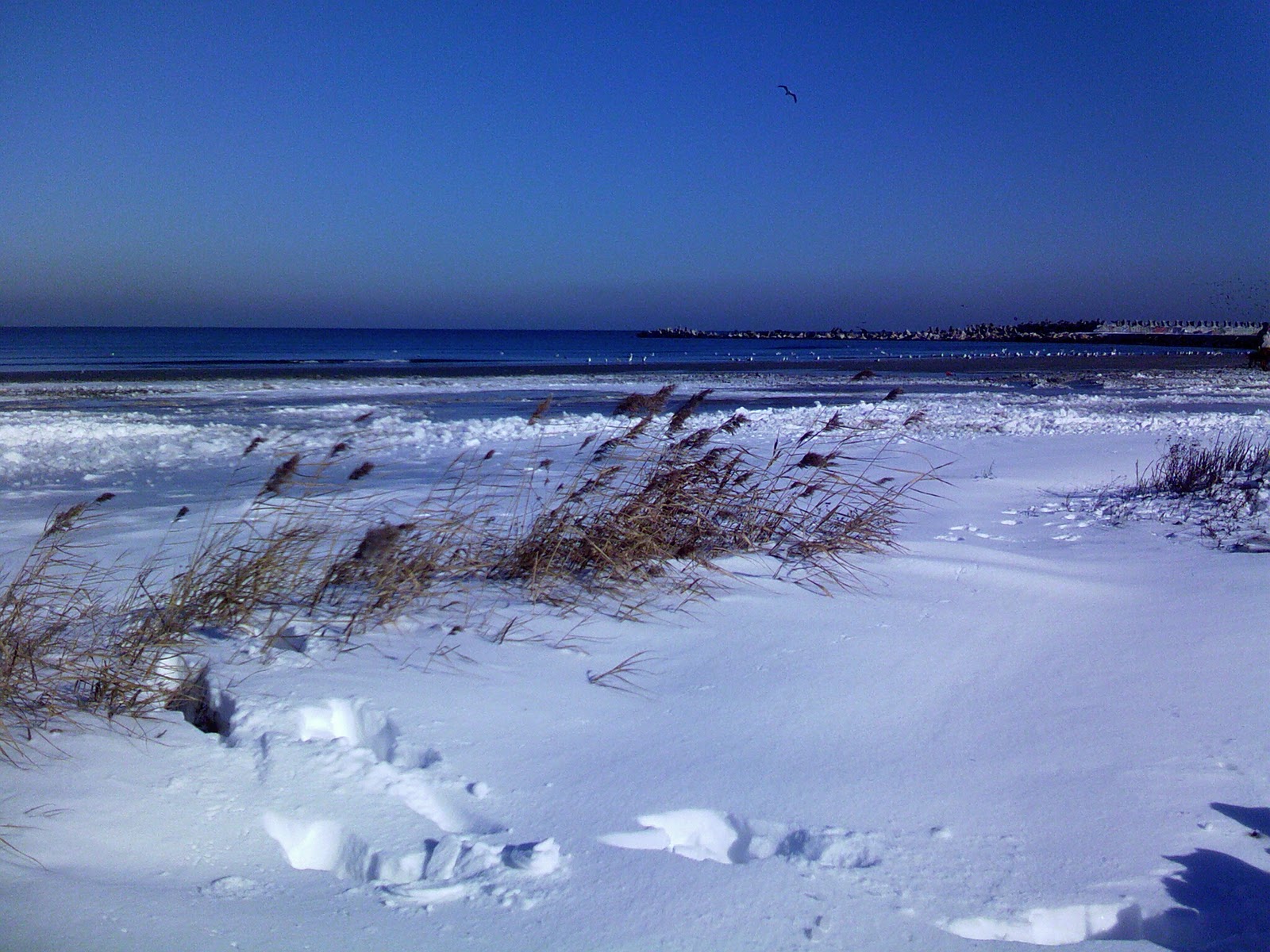 Beach Winter