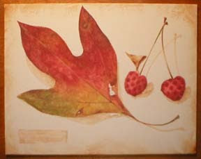 Brown+spots+on+dogwood+tree+leaves