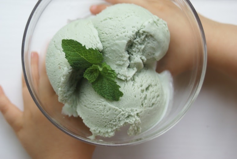 Our Green Nest Mint Ice Cream