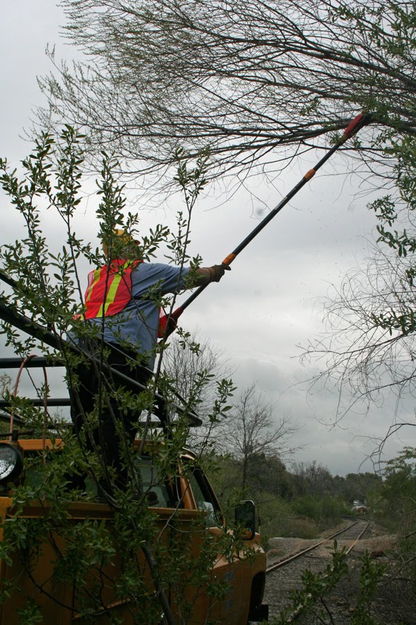 Cutting Brush