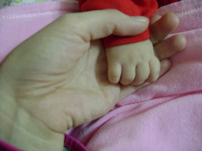 El Resimleri (2. Katalog)