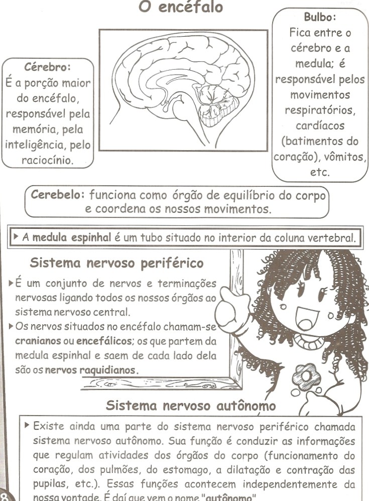 Atividades sobre Sistema Nervoso - Ensino Fundamental.