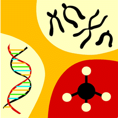 Medicina Ortomolecular