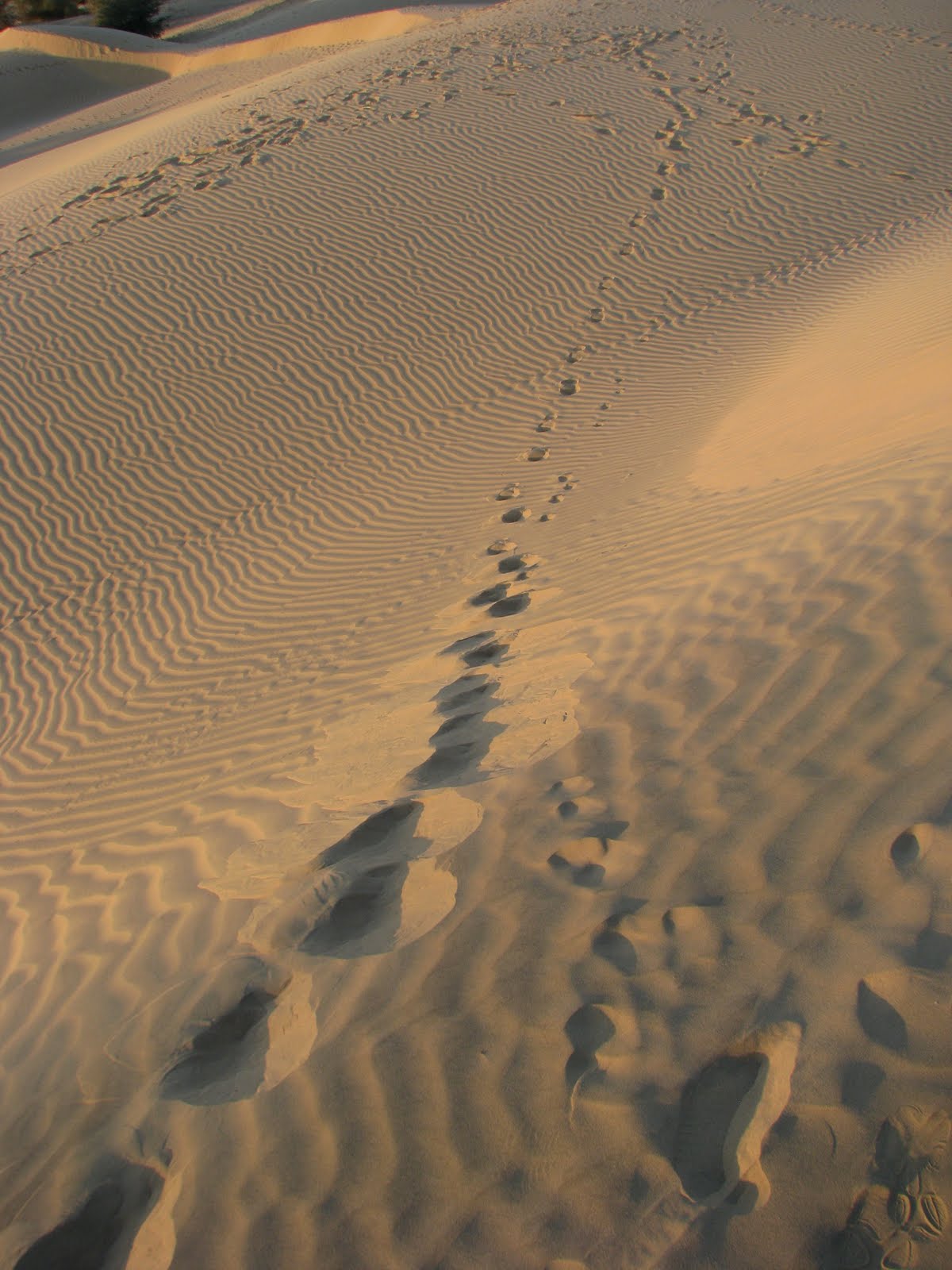 Deepictography Footprints on the sands of time