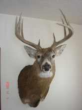 Clarence's Buck