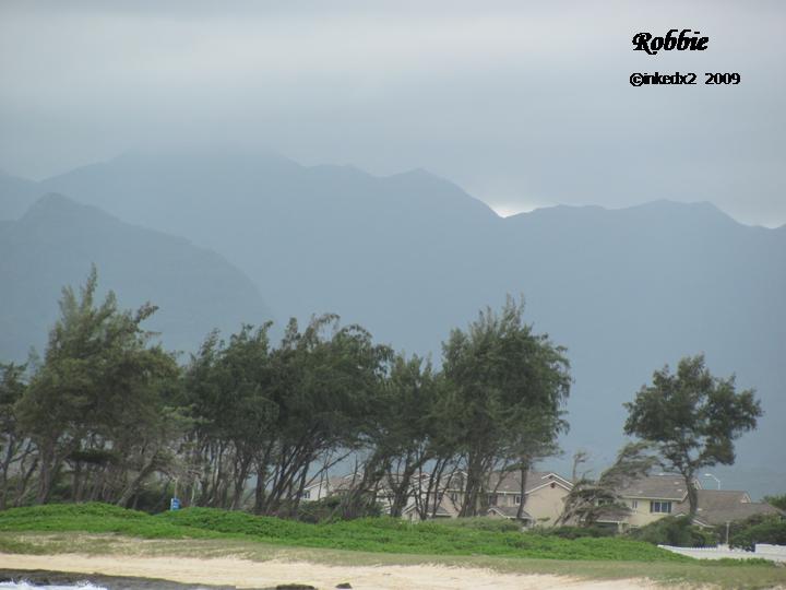 [HAWAII+DAY+2+-+3.jpg]