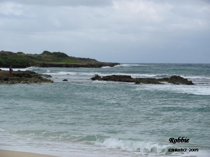 [HAWAII+DAY+TWO+-+1.jpg]