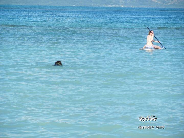 [HAWAII+DAY+FOUR+-+4.jpg]