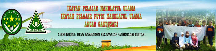 IPNU Gandusari