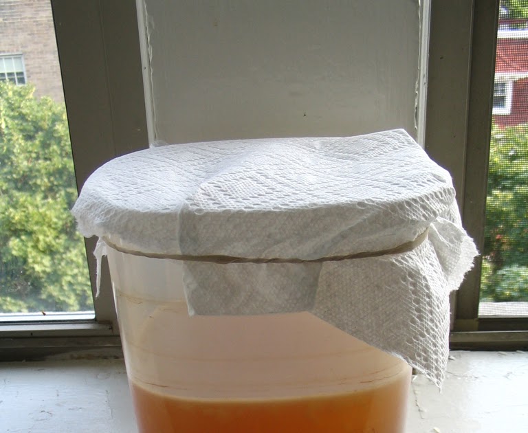MaltKombucha The Mad Fermentationist Homebrewing Blog