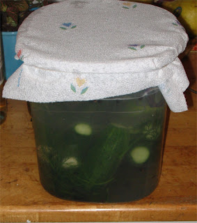 Mad Pickle