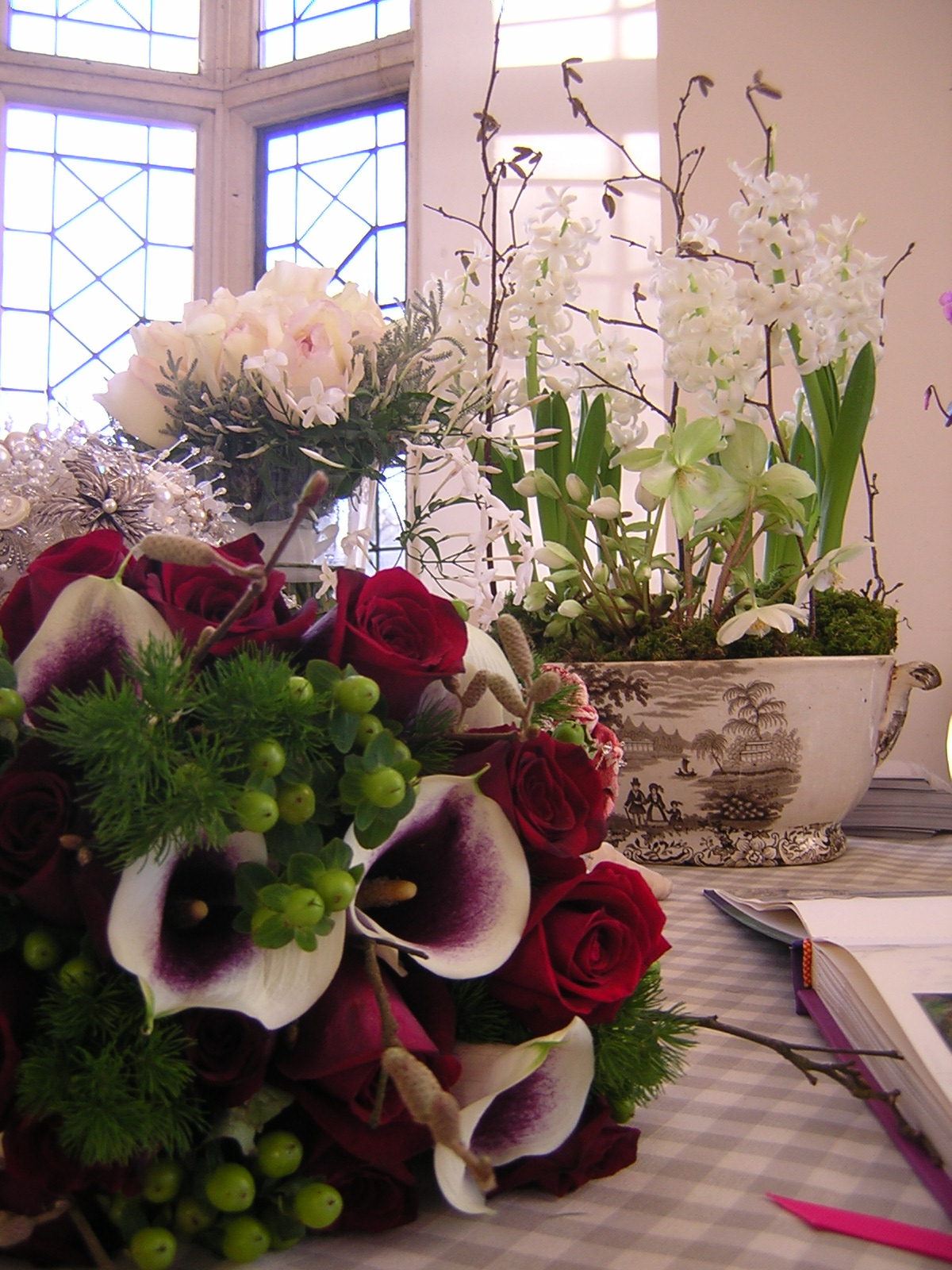 [DSCN2489.JPG]