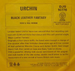 Scarlet Cobra Urchin