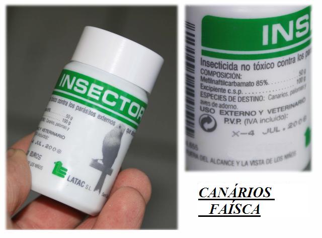 [insectornis3.JPG]