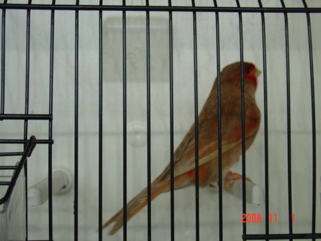 [DSC04704.JPG]