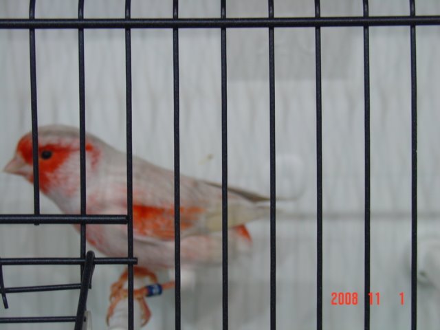 [DSC04686.JPG]