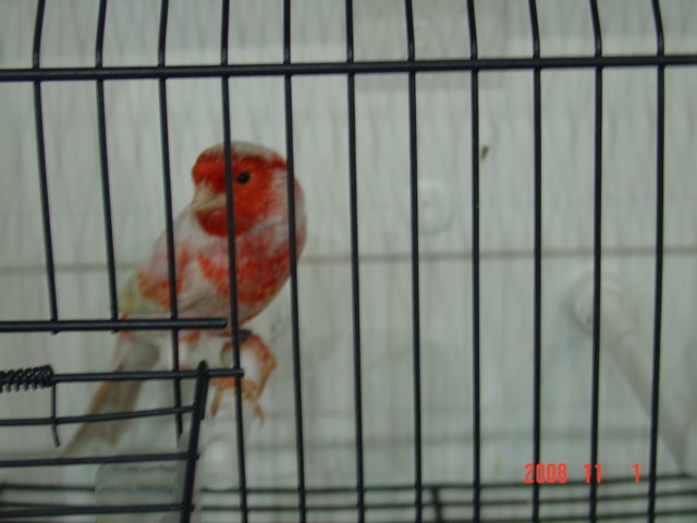 [DSC04688.JPG]