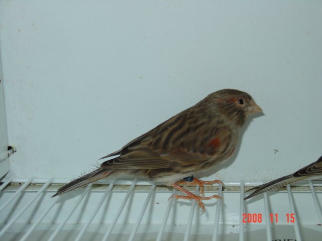 [DSC04843.JPG]