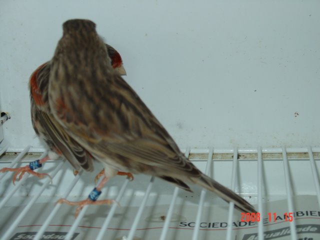 [DSC04845.JPG]