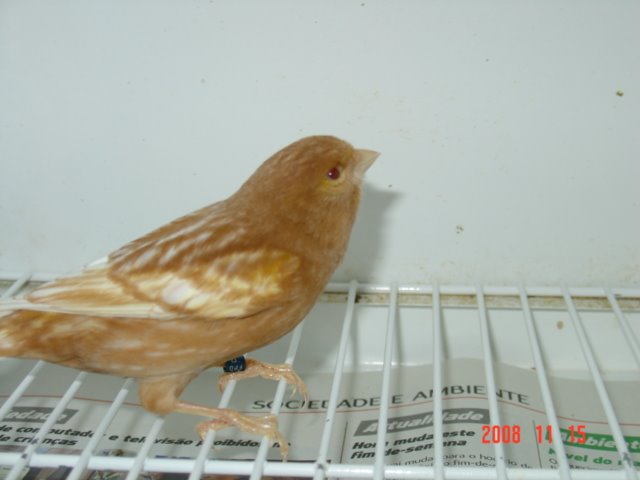 [DSC04811.JPG]