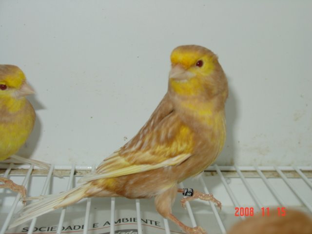 [DSC04814.JPG]