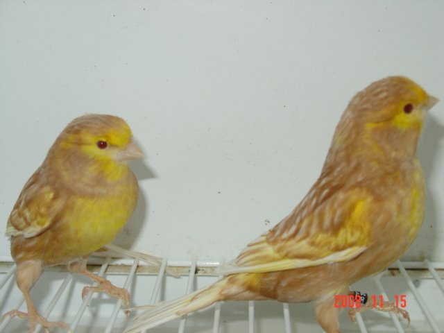 [DSC04815.JPG]