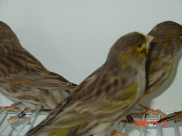 [DSC04934.JPG]