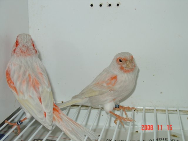 [DSC04894.JPG]