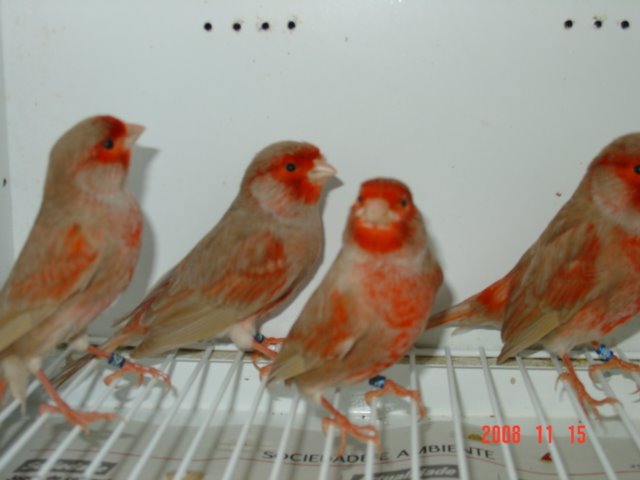 [DSC04873.JPG]