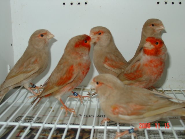 [DSC04887.JPG]