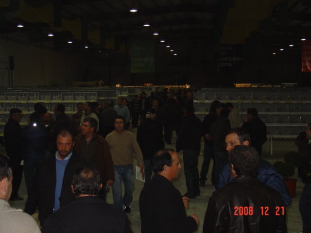 [DSC05024.JPG]