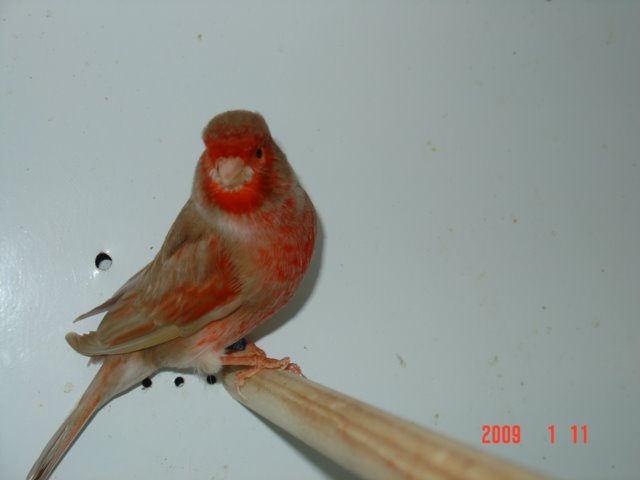 [DSC05048.JPG]