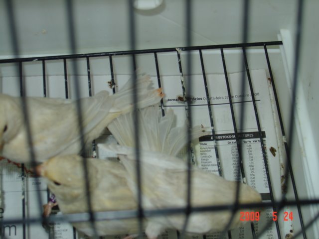 [DSC05604.JPG]