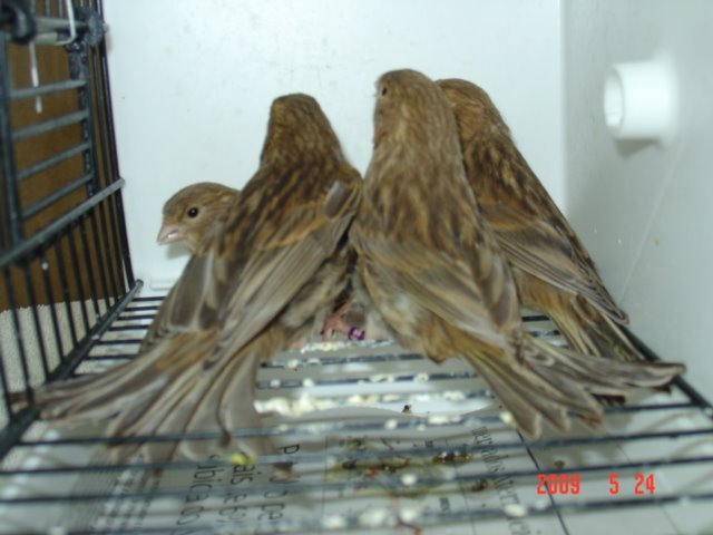 [DSC05620.JPG]