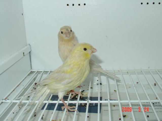 [DSC05569.JPG]
