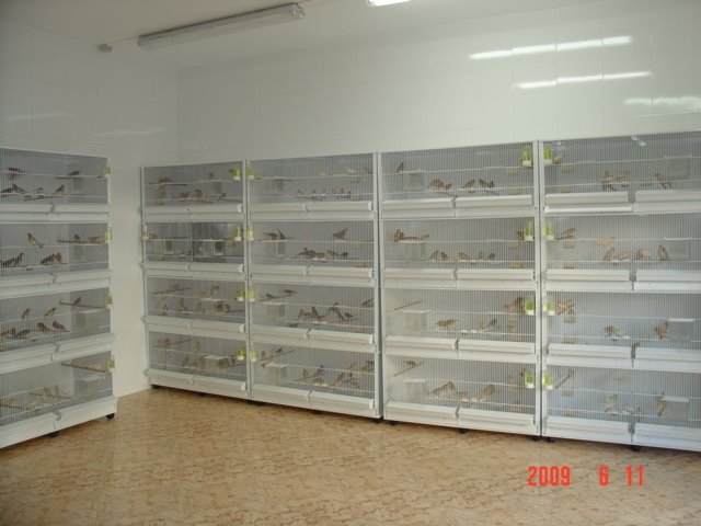 [DSC05624.JPG]