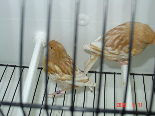 [DSC05673.JPG]