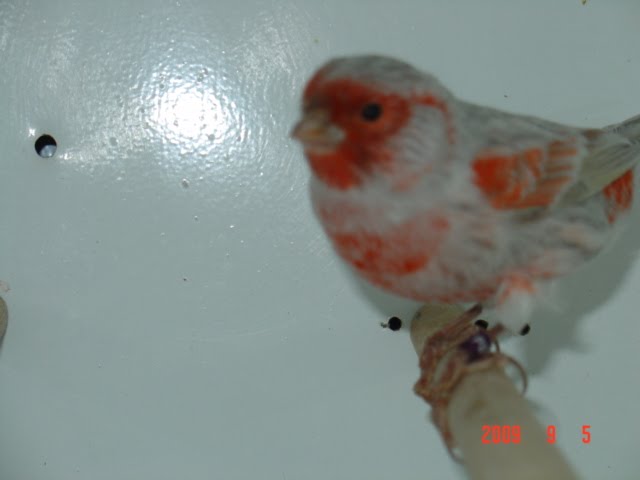 [DSC05789.JPG]