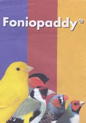 [Foniopaddy.jpg]