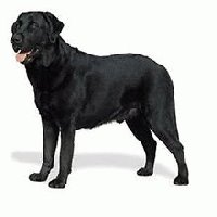 [55d99a37b2e1badba7c8df4ccd506a88.jpg]