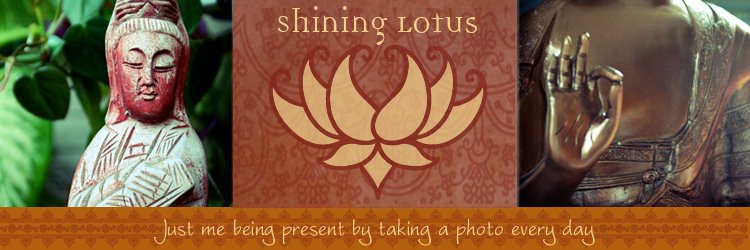 Shining Lotus