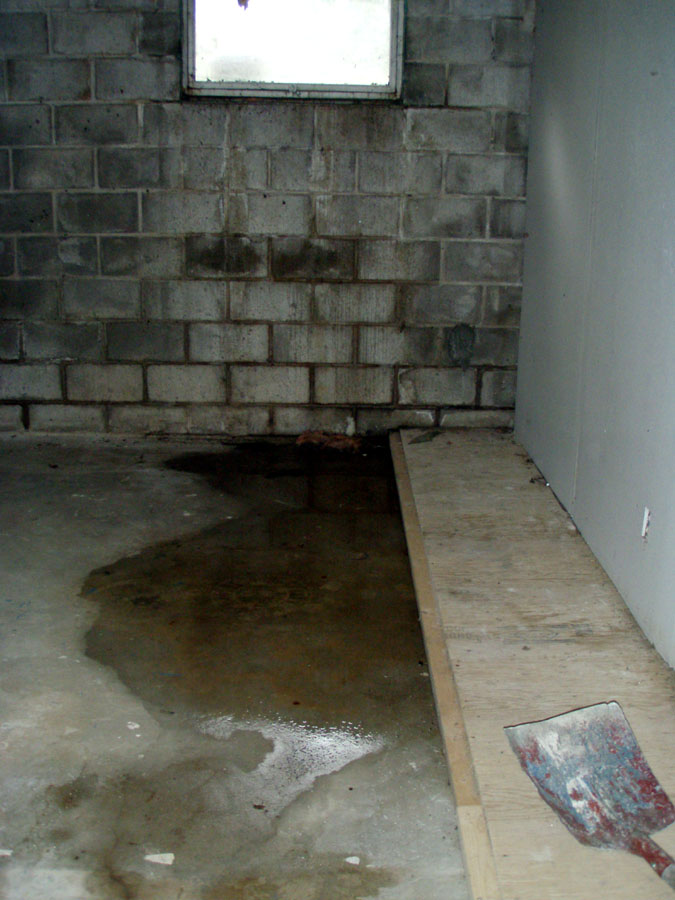 [wet+wet+basement.jpg]