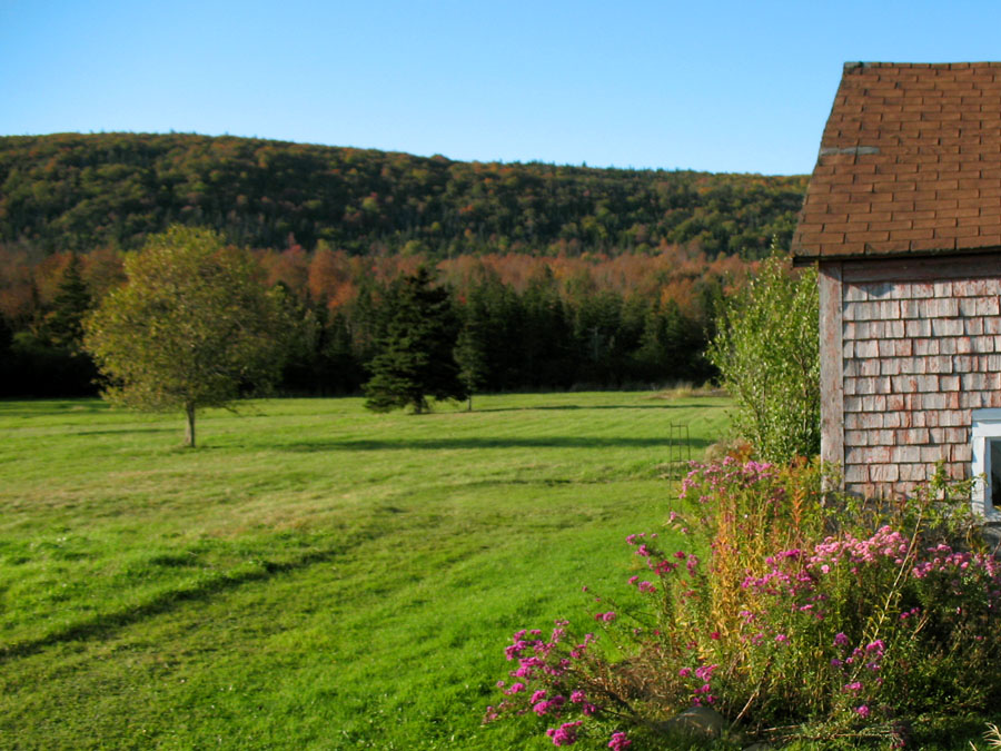 [granville+beach+field.jpg]